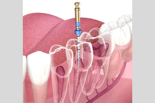 Untitled design (16)