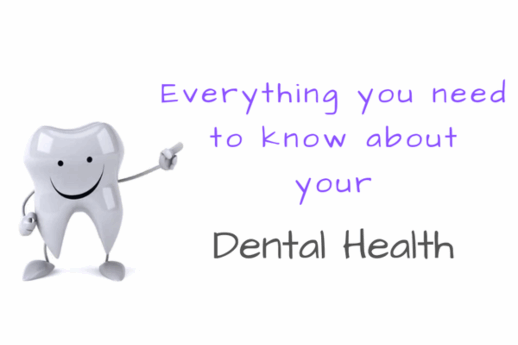 Everything you need to know about your Dental health
