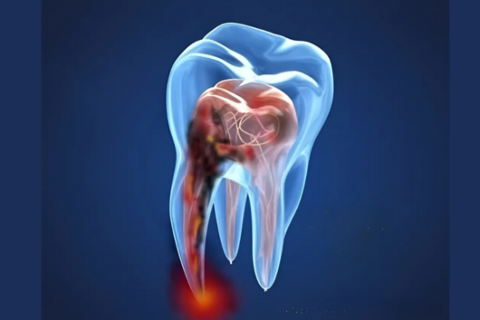 Untitled design (18)